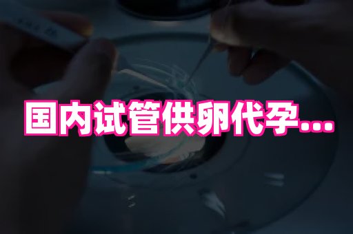 深圳助孕网站 1