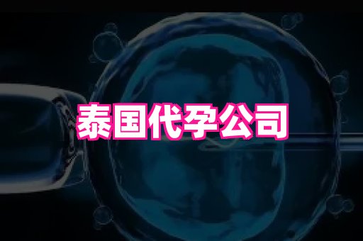深圳助孕网站 2
