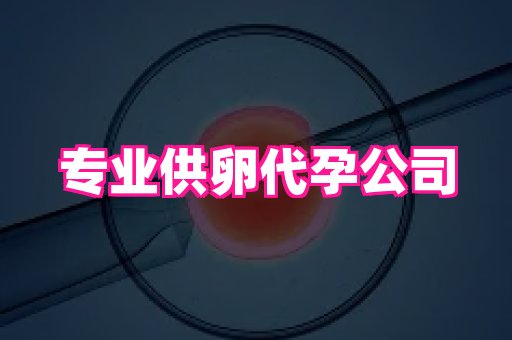 深圳助孕网站 3