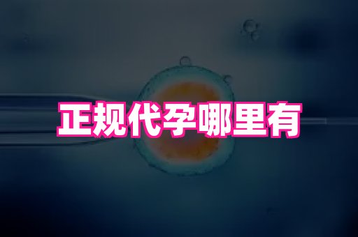 深圳助孕网站 4